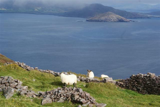 Rose cottage Ballinskelligs Esterno foto