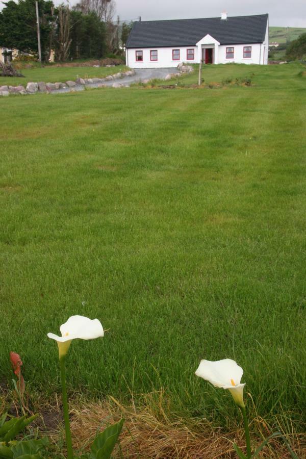 Rose cottage Ballinskelligs Esterno foto